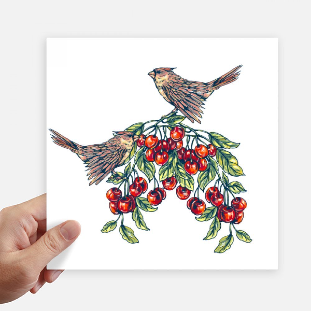 Autocollant oiseau fruit mangez vert carré 20 cm pour ordinateur et mur