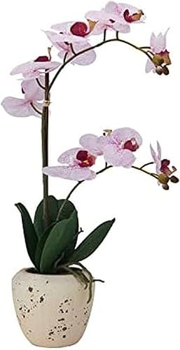 Mikasa Orquídea artificial en maceta orquídea Phalaenopsis de tacto real maceta de cemento envejecido sintético doble rama de 22 pulgadas punto rosa