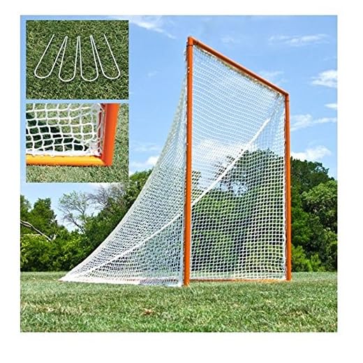 BSN Practice Lacrosse Goal and Net