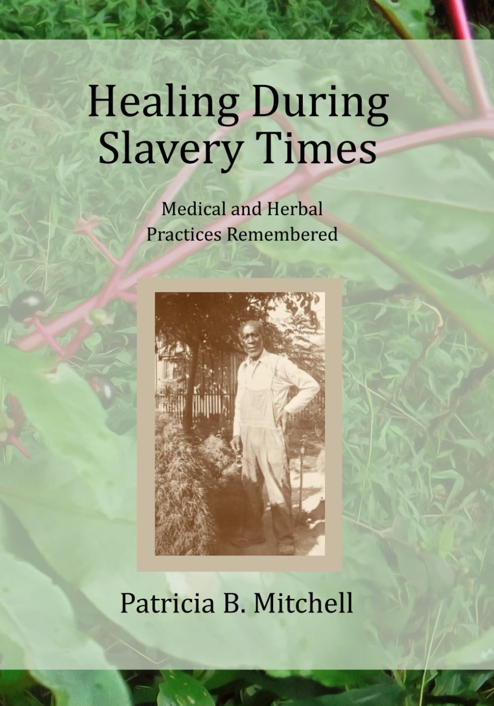 Healing During Slavery Times: Medical and Herbal Practices Remembered      Paperback – March 3, 2026