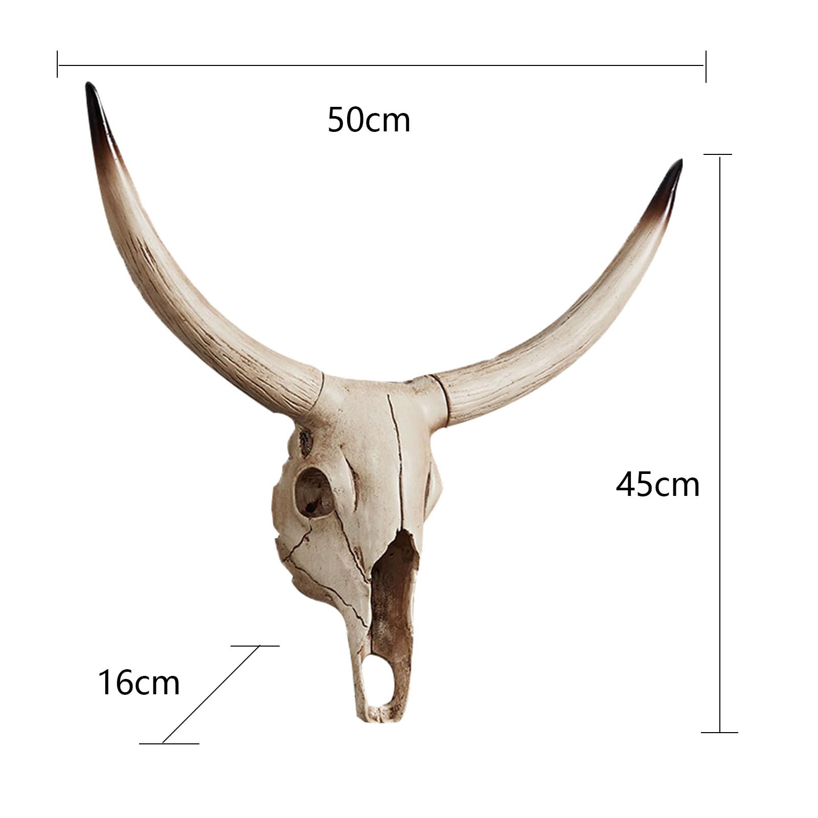 Longhorn Skulpturen XINGYAN Longhorn Rinderschädel Produktbild-Vorschau 5