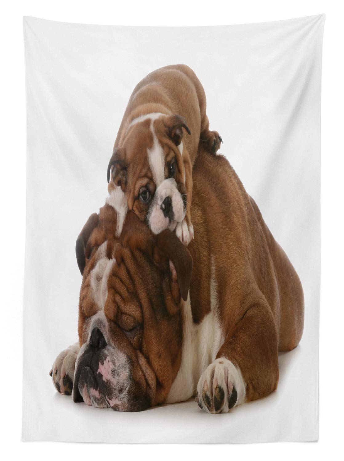 Tovaglia ABAKUHAUS Con Bulldog Inglese E Parco, 140x200 Cm - Impermeabile E Antimacchia Per Cucina E Sala Da Pranzo