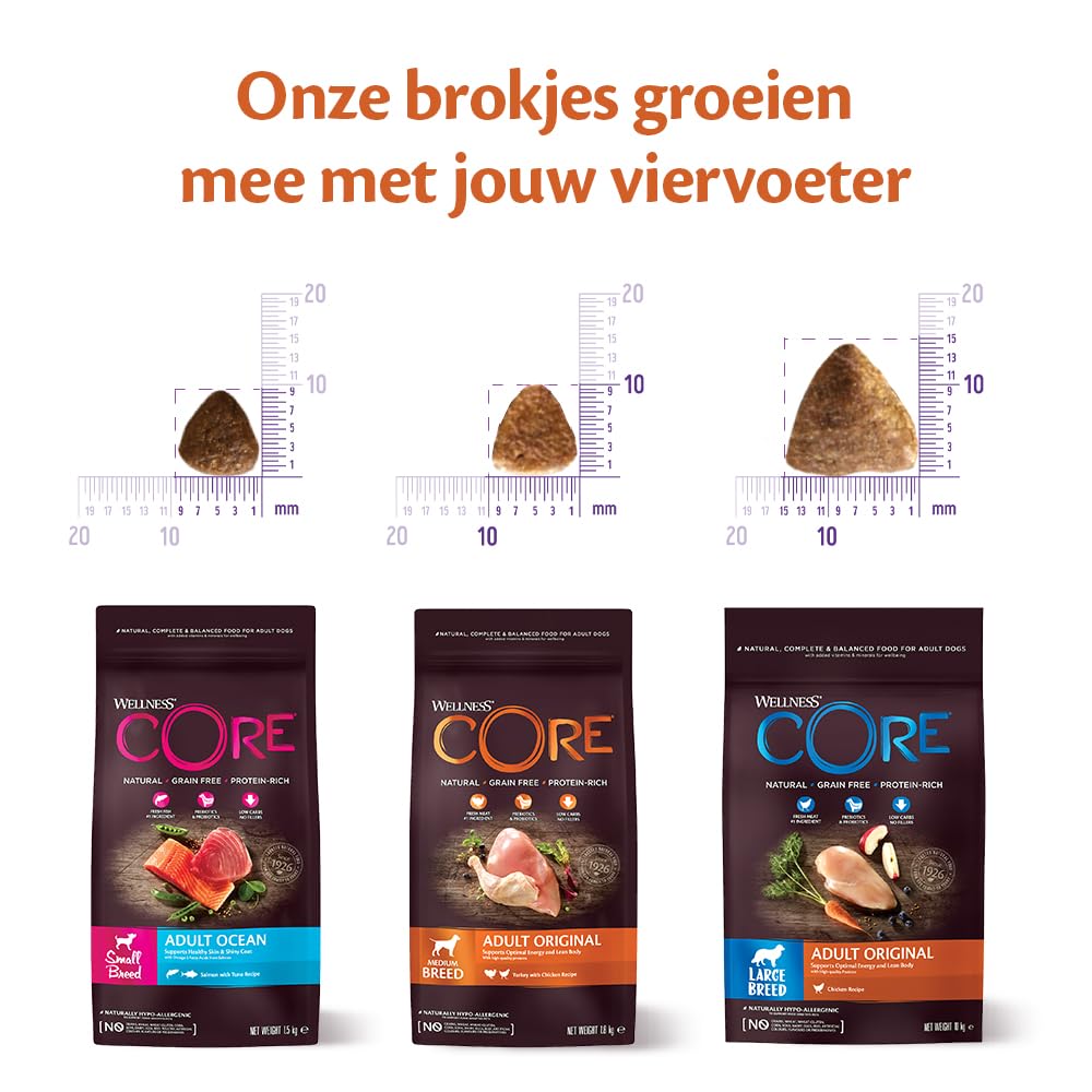 Wellness Core Sterilised Ocean Adult - Kattenvoer - Welkoop