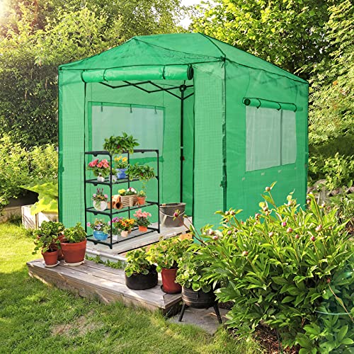 Image of EAGLE PEAK 8'x6' Portable Greenhouse with Two Shelves