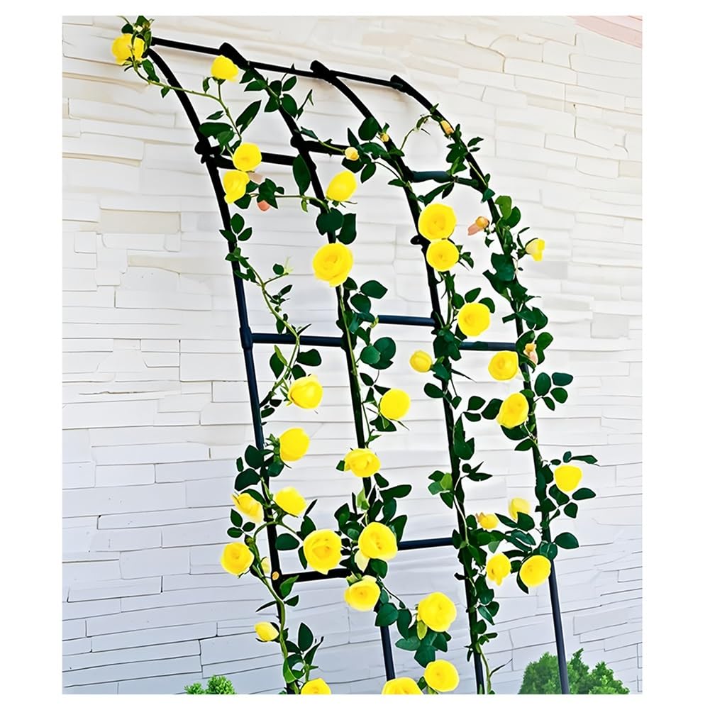 Treillis d'arche de jardin en métal noir pour rosier grimpant et plante extérieure 112x80x230cm