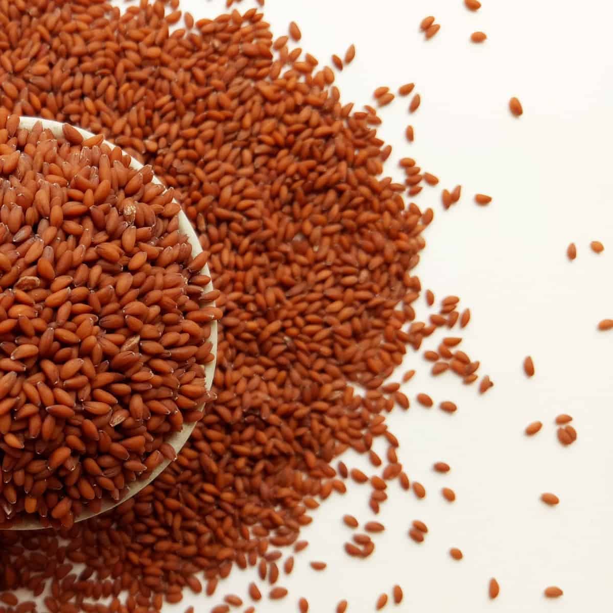 See full amazon price history chart for Sky Life® Halam - Halo - Lepidium Sativum Linn - Chandrasur - Garden Cress Seeds - Halo Seed - Halo Beej (200 GRM) Sky Life® Halam - Halo - Lepidium Sativum Linn - Chandrasur - Garden Cress Seeds - Halo Seed - Halo Beej (200 GRM) (B0BBHDWP6W) Amazon Price History, Amazon Price Tracker