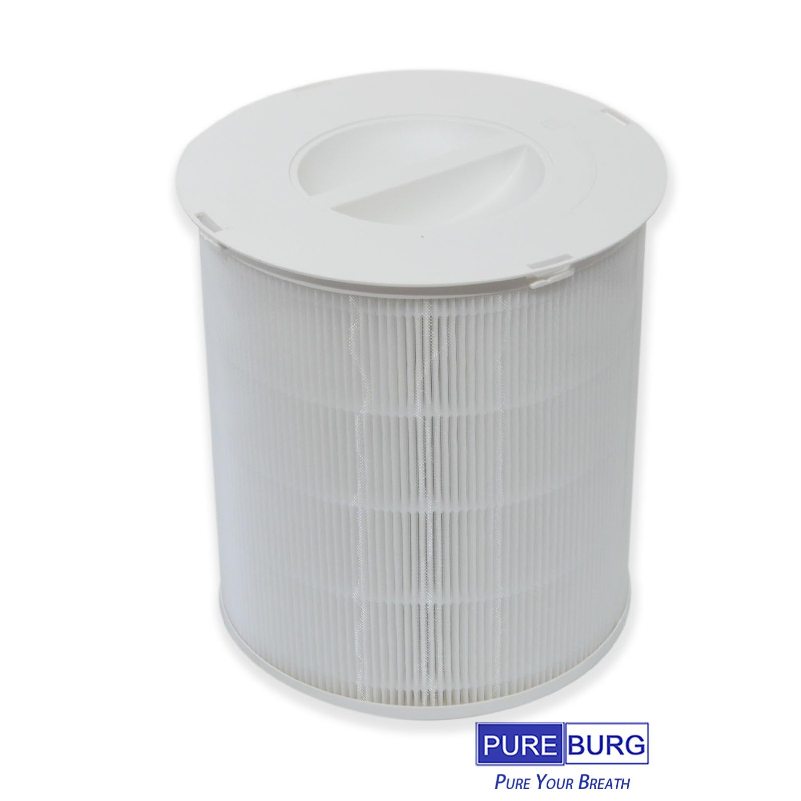 PUREBURG Replacement Filter Compatible with DAYETTE AP301 & JOWSET AP301 AP302 AP303 & AIRROBO AR400 Air Purifiers,2-Pack H13 HEPA 4-Stage Filtration Activated Carbon 2-IN-1