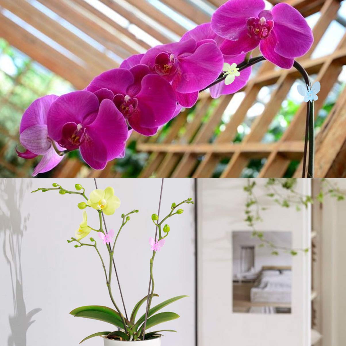 Yardwe 3 Sets Mit 30 Clips 30 Feste Clips Orchideen-Clips Für Den Garten Marienkäferform Kreative Befestigungsclips Für Ranken 60 Stück * 3