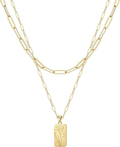 Layered Coin Necklace Paperclip Coin 