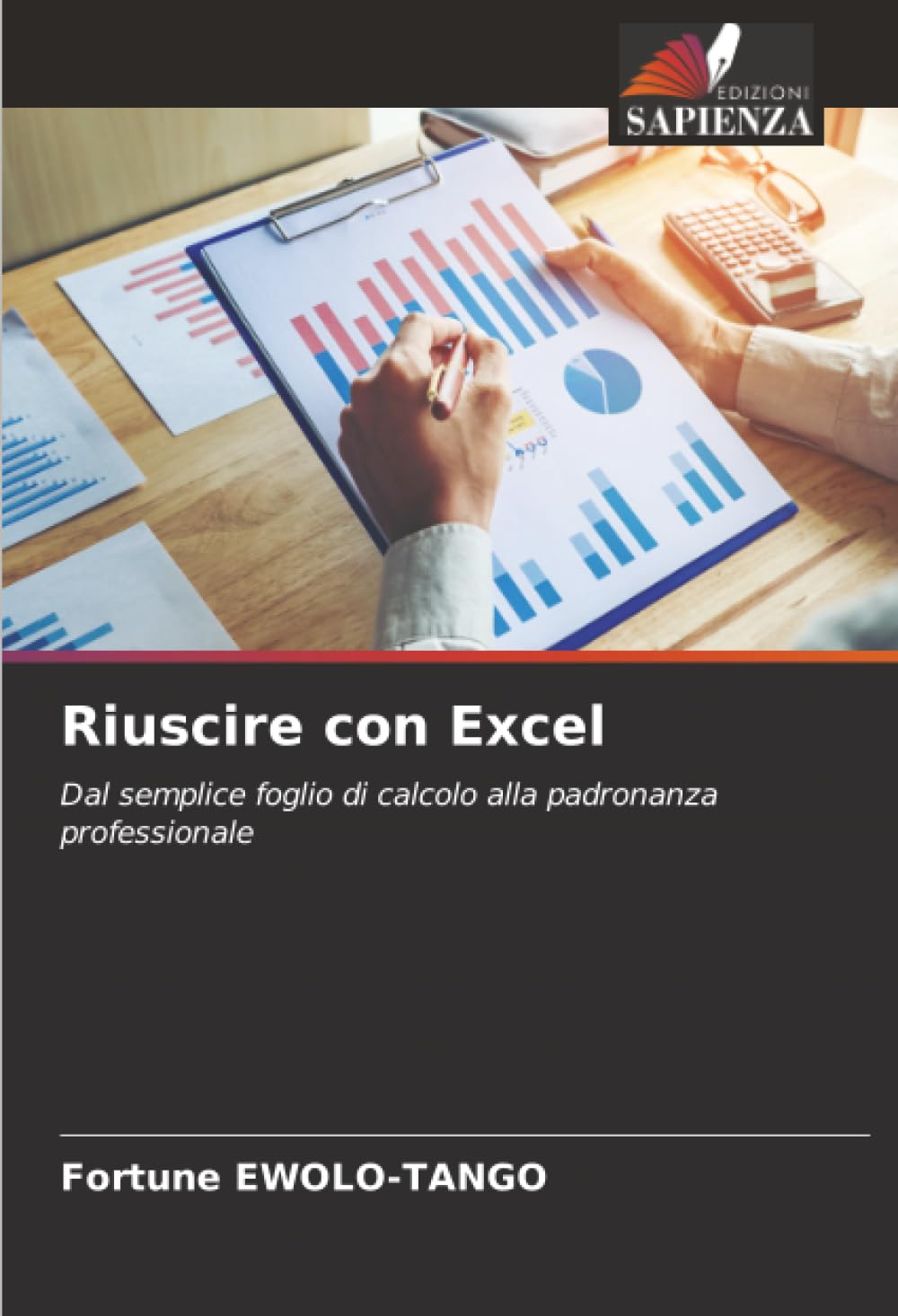 Riuscire con Excel: Dal semplice foglio di calcolo alla padronanza professionale