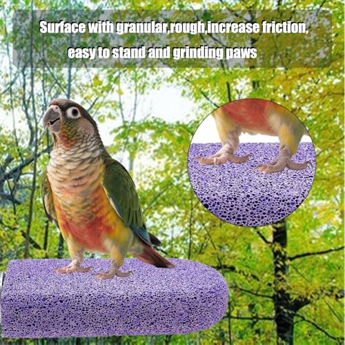 Image of Pet Teeth Grinding Stone and Perch, Bird Perch Stands, Natural Chewing Toys for Small Medium Birds Budgies Conures Cockatiels Rats, Purple and Pink