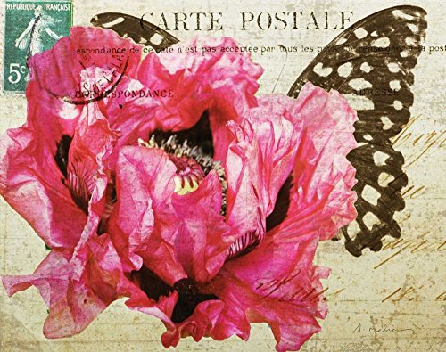 Impresión artística sobre papel mate, 220 g, carta postal, amapola Melious Amy, imagen horizontal floral, rosa, crema, marrón, amapolas, flores, flores, flores, impresión artística, 51 x 66 cm