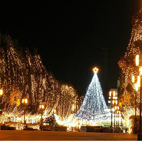 Walcut Flexible Crystal Clear Pvc Tubing Led Rope Light Indoor/Outdoor Boat Decorative Party Christmas Holiday Business Restaurant Light Kit, 110V, Cool White #TOP2