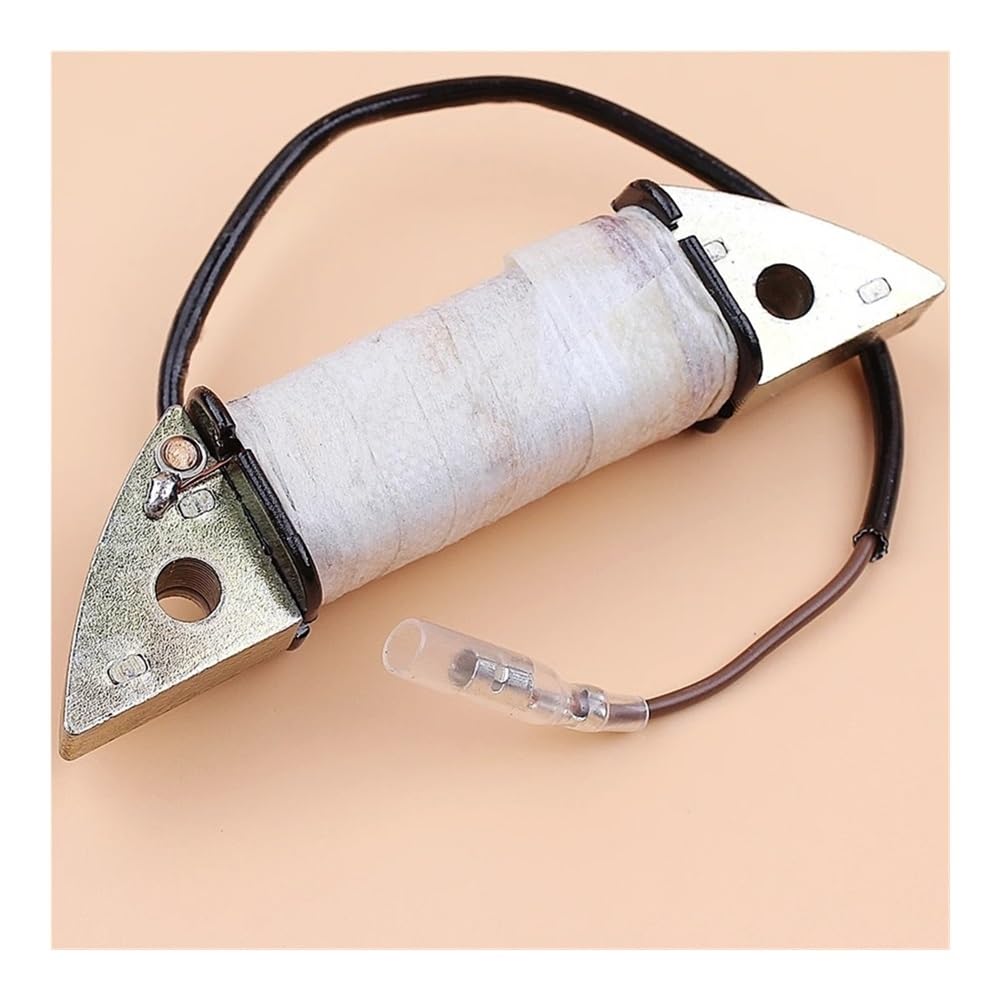 Stator de bobine d'allumage régulateur de tension stable 2KW-5KW
