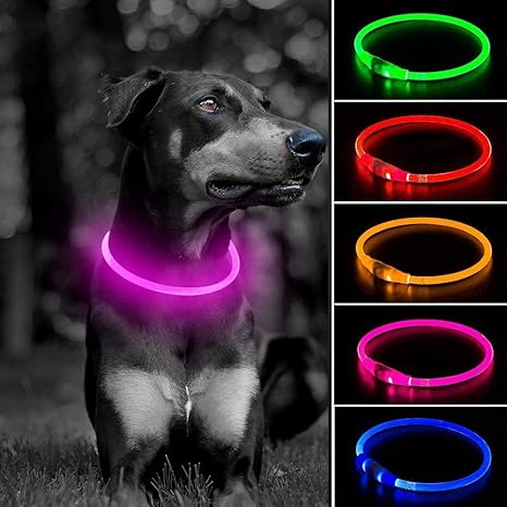 Glow in the dark dog collar amazon Outlet