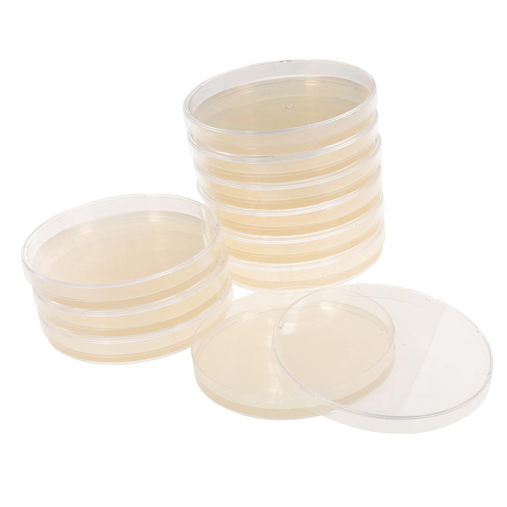 Piastre Petri 9cm Pronto Uso, Agar Nutrienti, 10 Pezzi