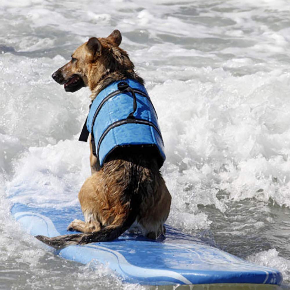 Giubbotto Salvagente Per Cani - Salvavita Con Manico, Per Nuoto, Taglie Da XXS A XXL - Foto 8