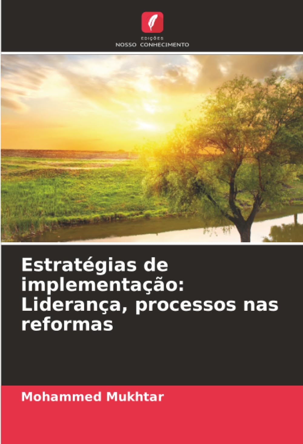 Estratégias de implementação: Liderança, processos nas reformas