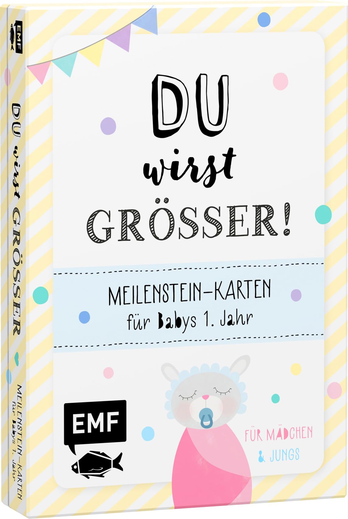 Mary-Ann Weber Meilenstein-Karten für Babys 1. Jahr – Du wirst größer!