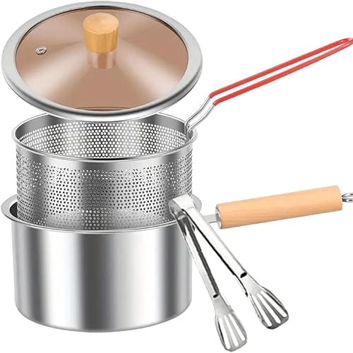 Pequeño colador de aceite de acero inoxidable con cesta para freír, freidora de pequeña capacidad de 2.5 litros con tapa, olla de filtro de aceite,