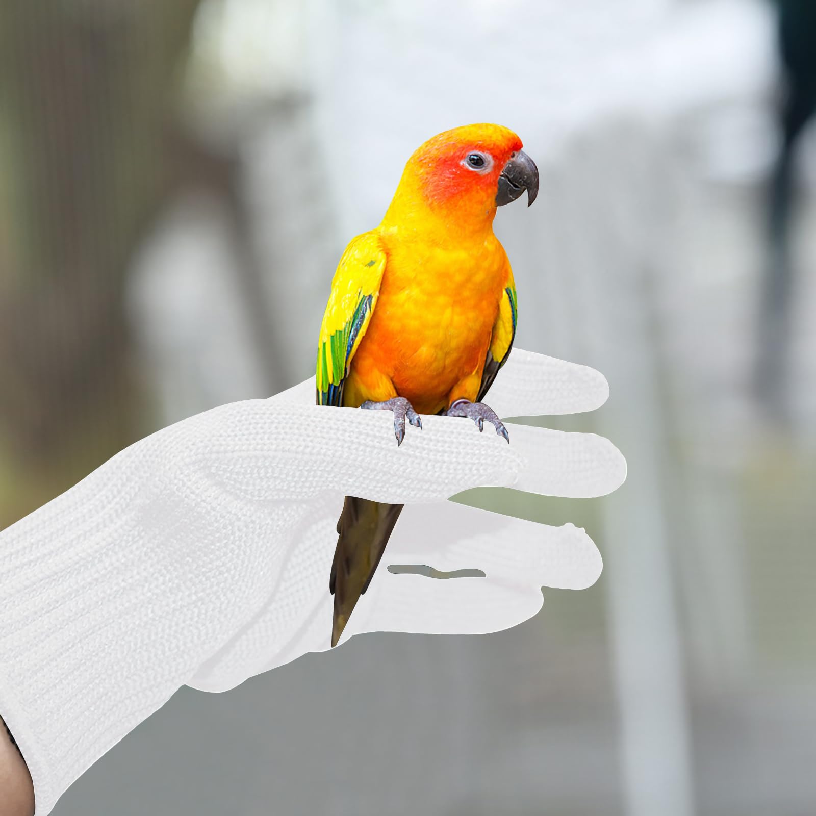 NCONCO 1 paio di guanti anti-morso per pappagalli, guanti da addestramento per uccelli, piccoli animali da maneggiare guanti in filo metallico e guanti protettivi in filo di acciaio da masticare