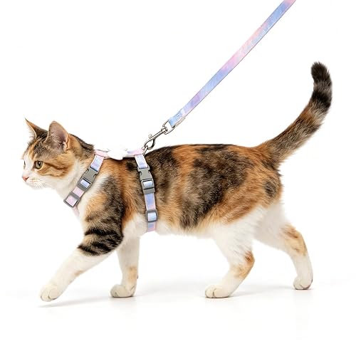 Nobleza Arnés y Correa para Gatos, Arnés de Pecho Ajustable con Alas de Ángel de Peluche