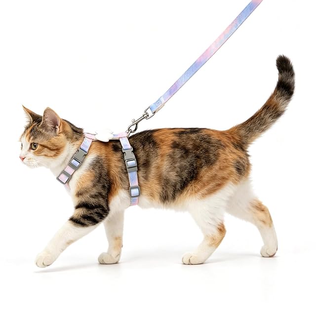 Nobleza Arnés y Correa para Gatos, Arnés de Pecho Ajustable con Alas de Ángel de Peluche