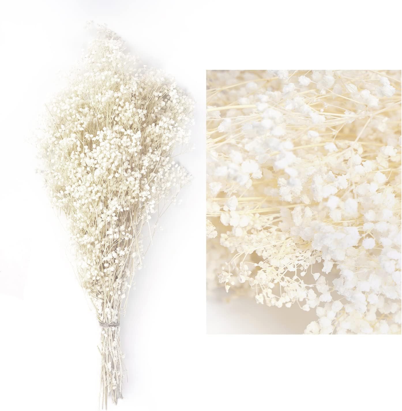 Dried Flowers White