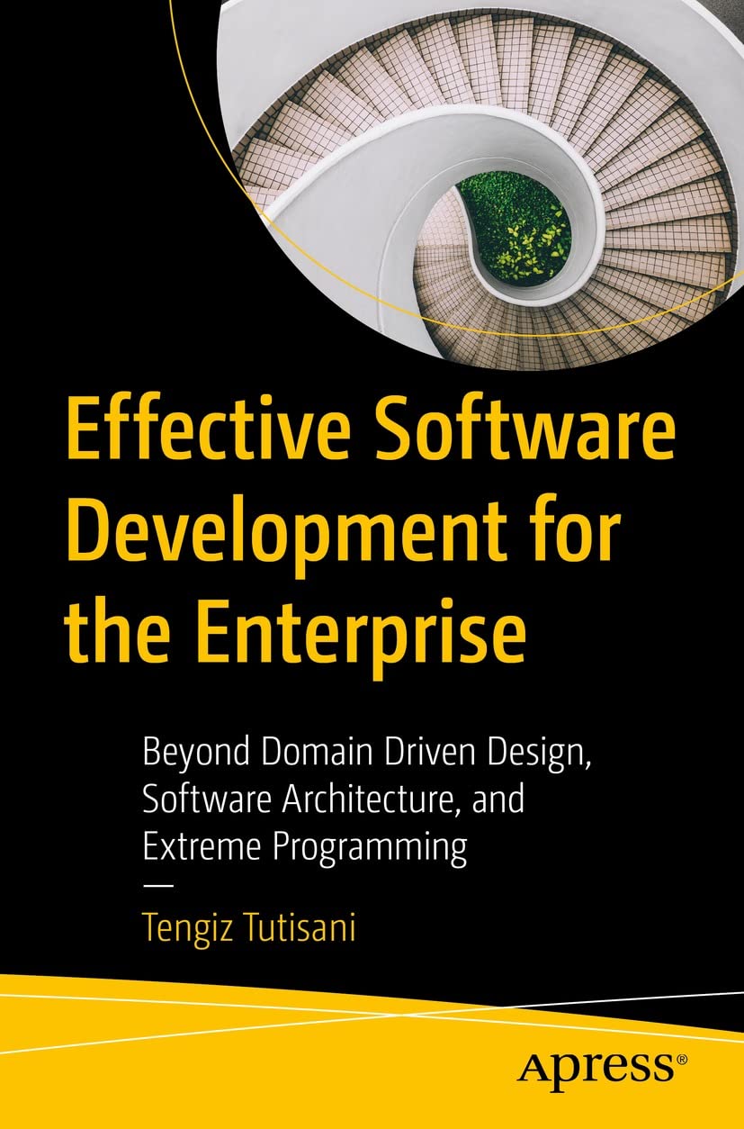 Effective Software Development for the Enterprise: Beyond Domain Driven Design, Software Architecture, and Extreme Programming (English Edition)