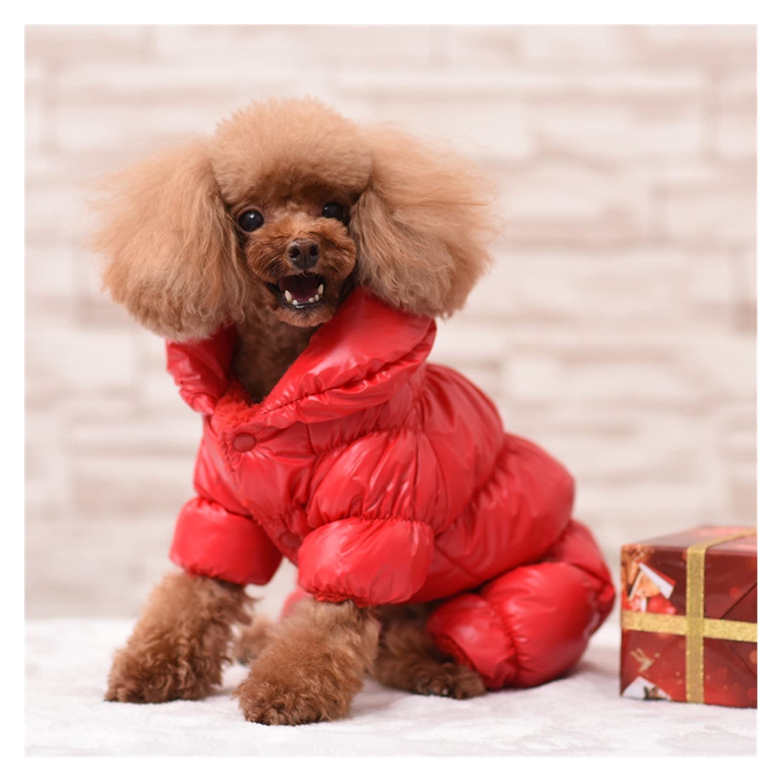 Kikbax Vestiti del Cane Vestiti Caldi dell'animale Domestico Giacca del Cappotto dell'animale Domestico (Color : Black, Size : M)
