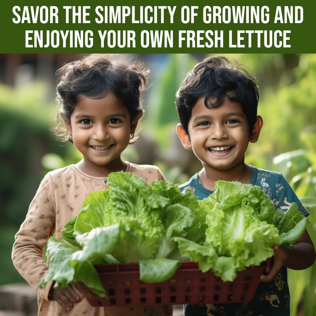 Sattvishtik Grow Box Lettuce Vegetable Kit for Kids | Pack of 1 | Eco Friendly Gift for Kids | Beginner Gardeners | DIY | Easy Grow it Yourself Gardening Kit for Home & Garden 4