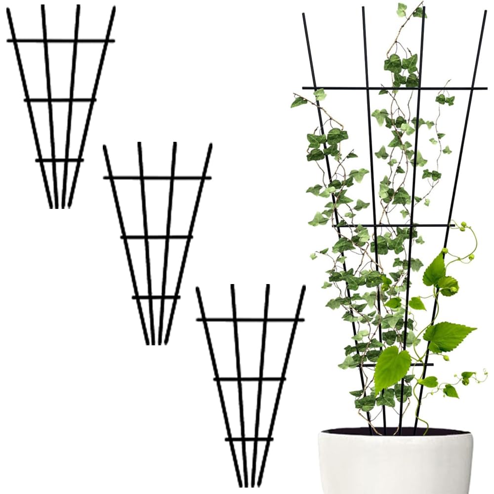 See full amazon price history chart for ARTICRAFT Trendy Trellis Plant Support Metal Stands for Climbing Plants, Home Garden | Strong and Stylish Garden Supports for Healthy Plant Growth| Pack of 3 (Black) ARTICRAFT Trendy Trellis Plant Support Metal Stands for Climbing Plants, Home Garden | Strong and Stylish Garden Supports for Healthy Plant Growth| Pack of 3 (Black) (B0CL2D6XPB) Amazon Price History, Amazon Price Tracker
