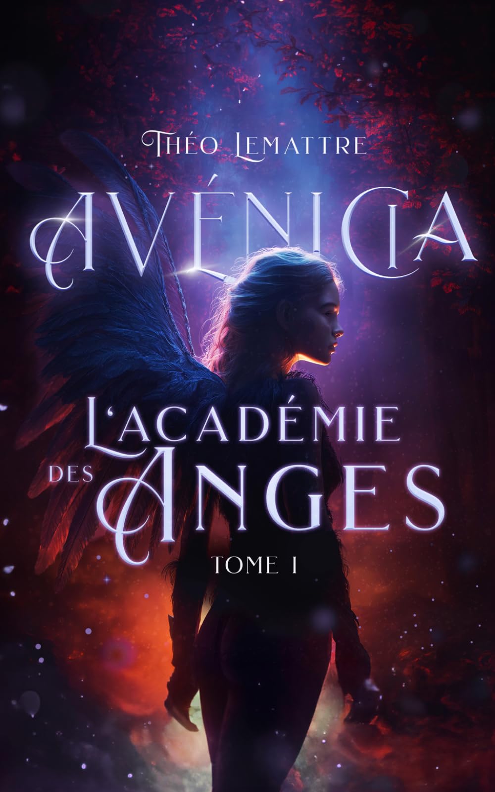 L'académie des anges (une romance slow burn enemies to lovers)
