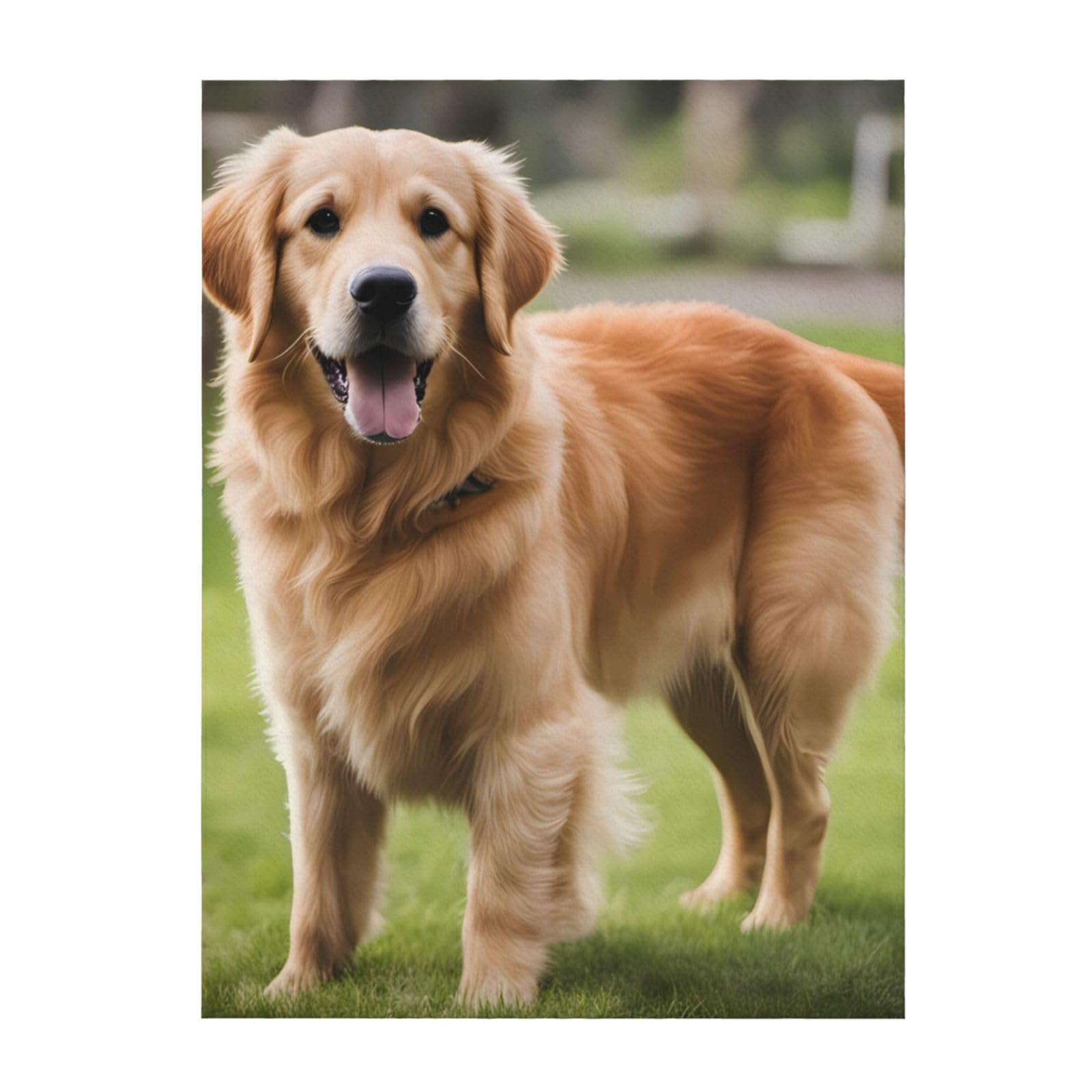 Couverture Golden Retriever anti-froid légère pour grand lit