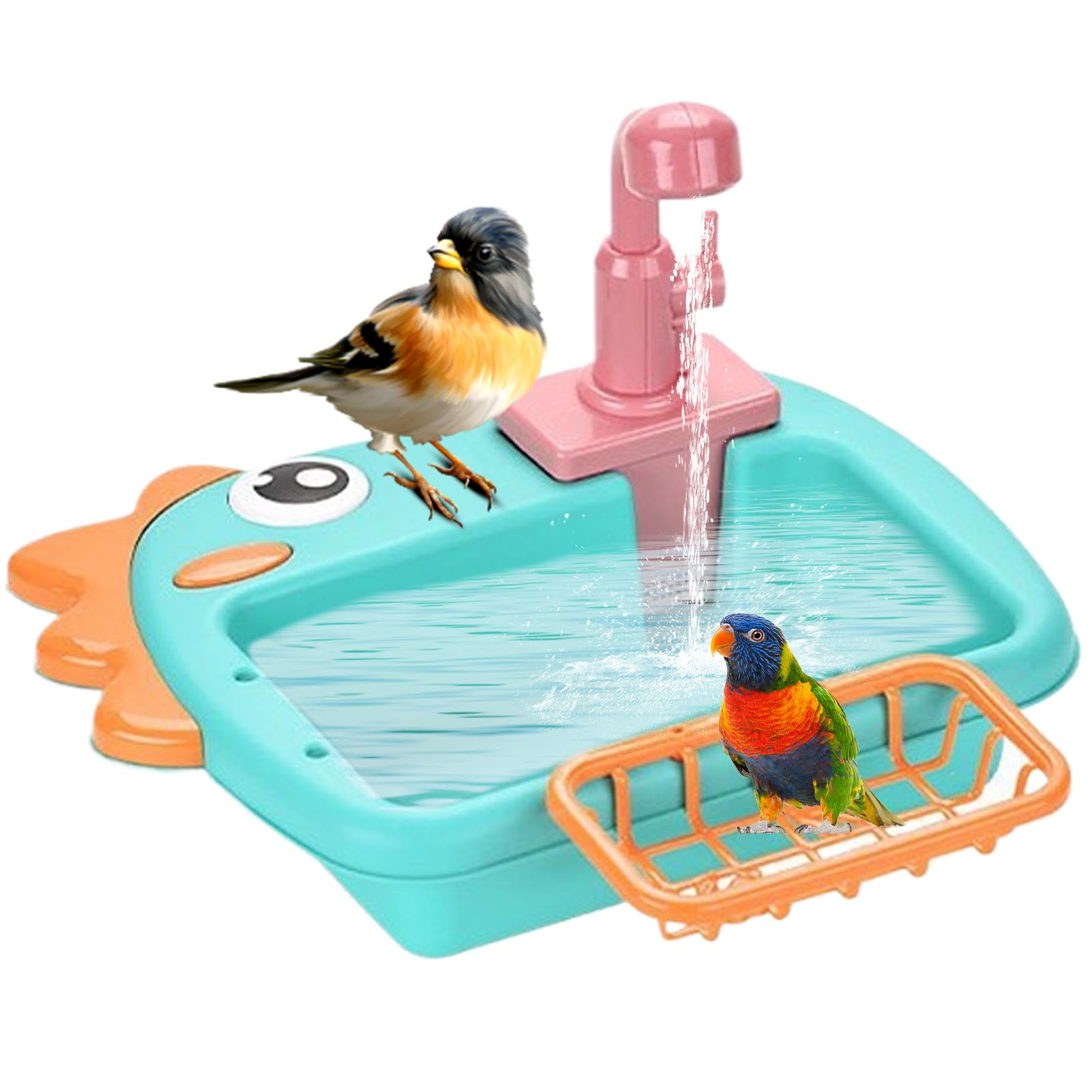 Bain de perruches et douche oiseau automatique pour éviter l'eau stagnante