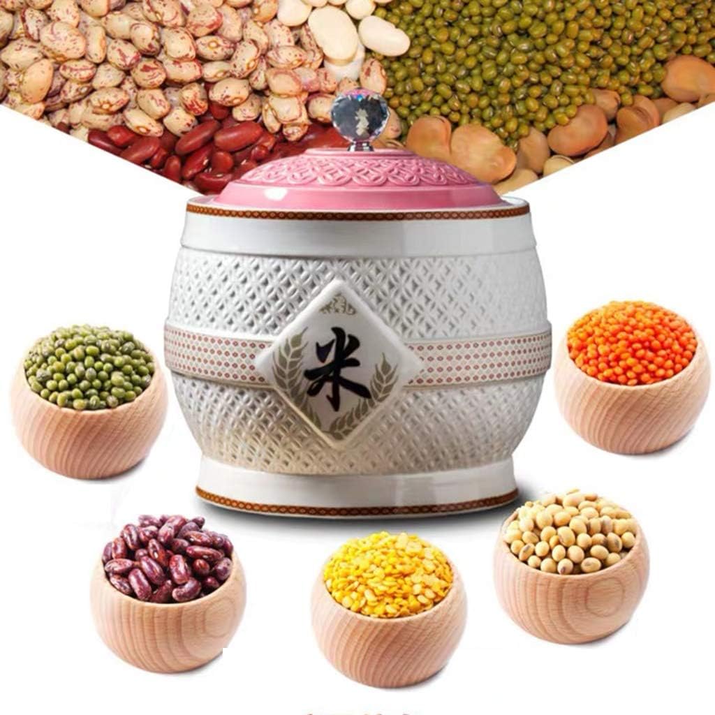 Retro Ceramic Cereal Storage Container Traditional Chinese Porcelain Grain Dispenser Suitable for Cereal, Flour, Sugar, Coffee, Rice, Nuts, Snacks, Pet Food,Tea (Color : F, Size : 4.5KG/10LB)