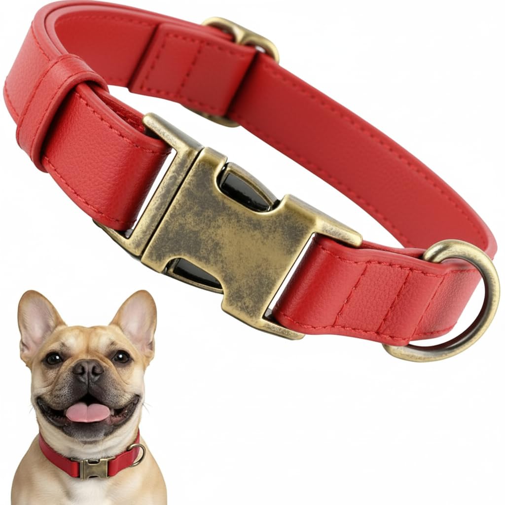 B&F Silicone Dog Collar