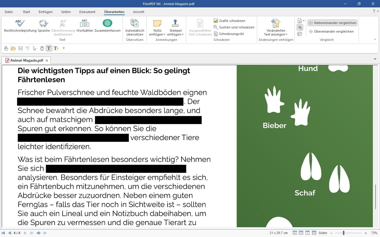 FlexiPDF NX – PDF-Editor | Übersetzer | Kompatibel mit Windows | 3 Geräte | 1 Jahr | PDF-Editor für Büro, Homeoffice & Datenschutz | Aktivierungscode per E-Mail [software_key_card]