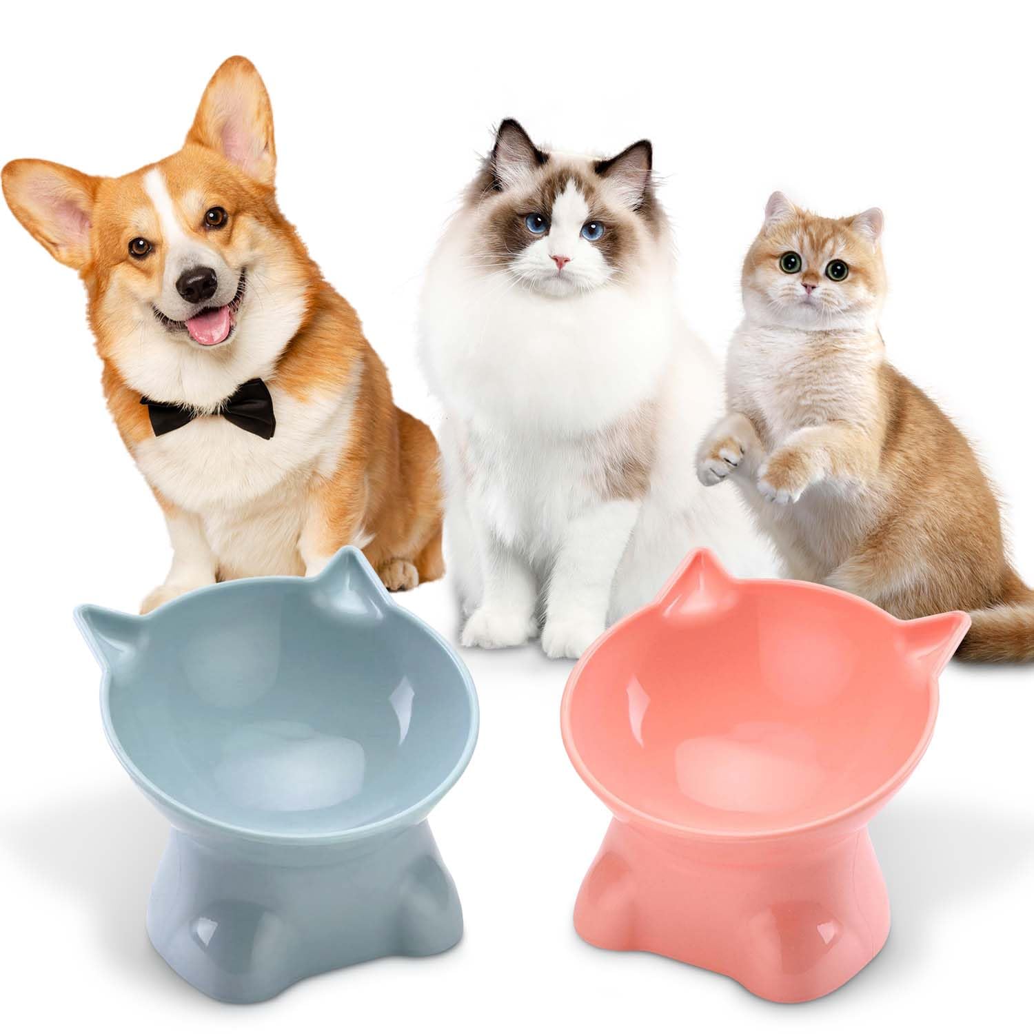 XJZWHN 2 Pcs Platos para Gato, Cuenco Elevados para Gato con 15° Inclinación Diseño Ergonómico, Proteger la Columna Cervical, Inclinable Tazón para Gatos, Cachorro