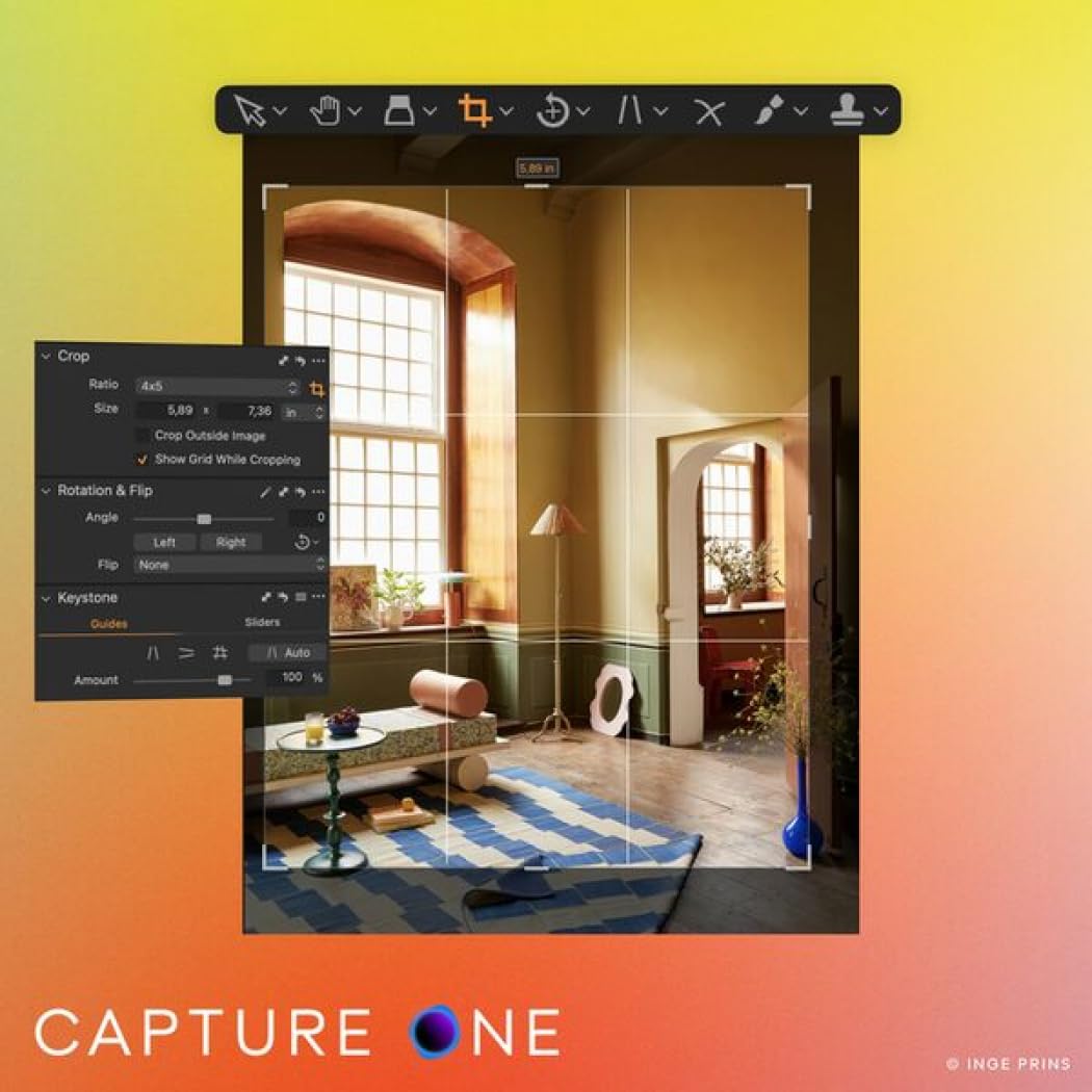 Capture One Pro 20 Bildbearbeitungssoftware mit unbefristeter Lizenz 13 Style Packs für Windows MacOS