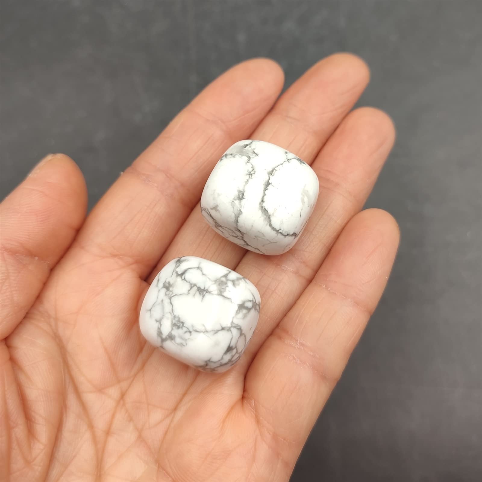 1pc Howlite Naturale Tumbled Stones Cristallo di Quarzo Pesce Vaso di Fiori Paesaggio Decorazione Pietra preziosa Ornamento for la casa Cristallo Collezioni di casa