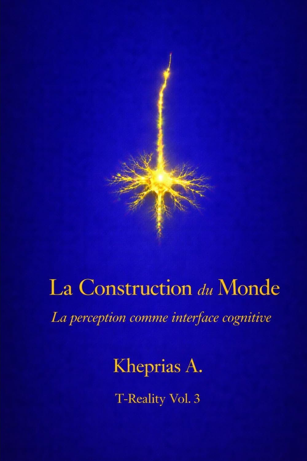La Construction du Monde: La perception comme interface cognitive: 3 (T-Reality – Philosophie de l’esprit et neurophilosophie)