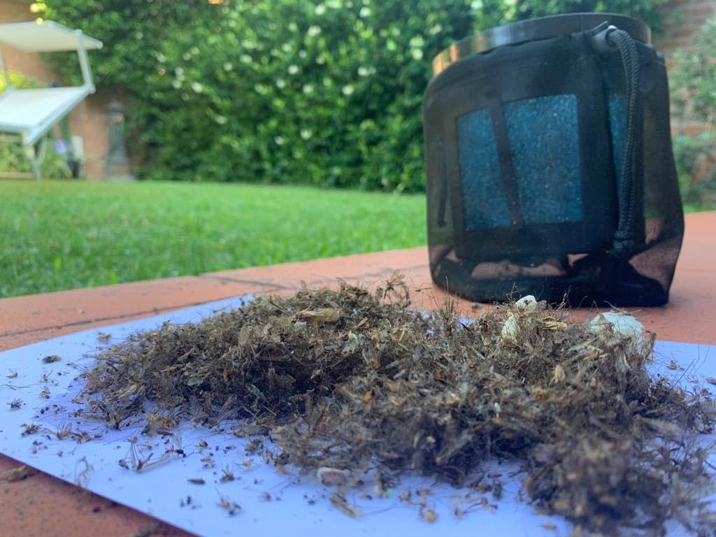 Sandokan, Antizanzare Giardino fino a 1000mq – Lampada Zanzare Esterno con Ventola – Aspira Zanzare Elettrico Silenzioso – Antizanzare Giardino da Esterno Senza Veleni, Made In Italy