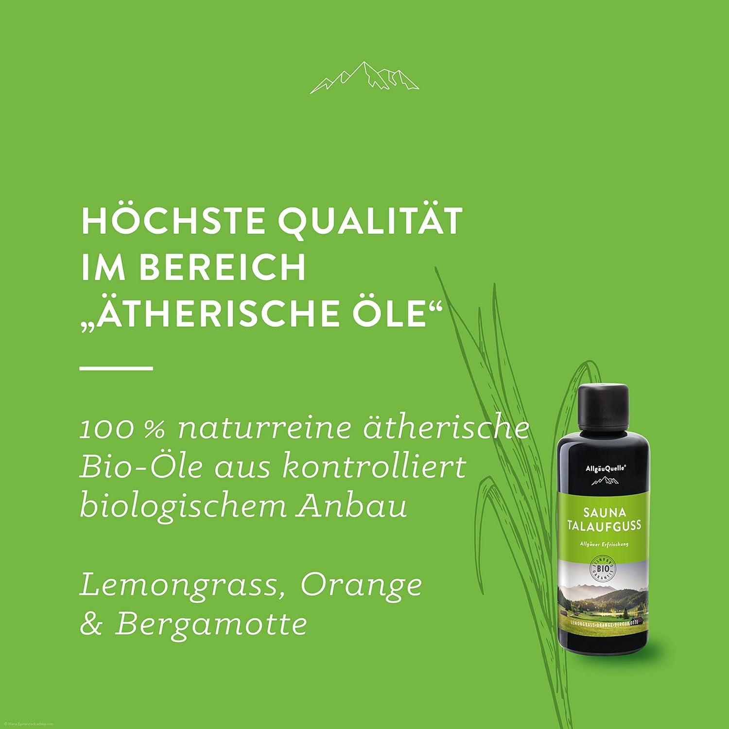 AllgäuQuelle® Saunaaufguss mit 100% Bio Öle Erfrischung (100 ml (2er Pack))