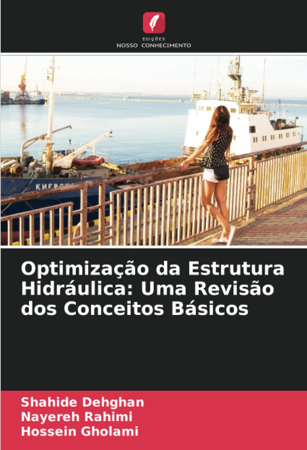 Optimização da Estrutura Hidráulica: Uma Revisão dos Conceitos Básicos
