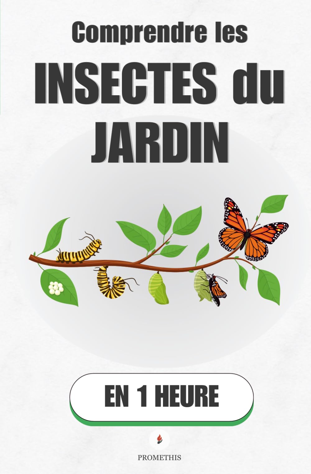 Comprendre les insectes du jardin, en 1 heure: Ce que chaque petite bête révèle sur la vie de ton sol (Promethis - Sciences)
