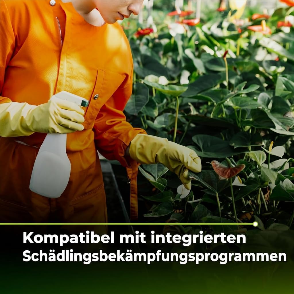 Trabe Bacillus Thuringiensis 3 Stück, 40 g – Raupenfrei - Zünslerfrei Buchsbaum und Raupen Plantura - Buchsbaumzünsler an Buchsbäumen - Respektiert Tiere, Umwelt und Menschen