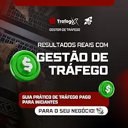 Guia Prático de Tráfego Pago para Iniciantes: Trafego Pago