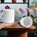MUZHI Double Layer White Ceramic Orchid Planter with Saucer, Orchid Pots with Holes 4.6" Set of 2, Modern Minimal Cylinder Striped Plant Pot with Drainage 4.6” (White)