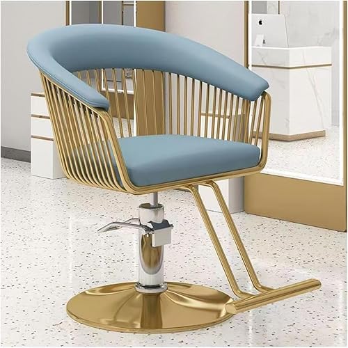 Heavy Duty Hairdressing Chair, 360° Swivel Salon Chair with Hydraulic